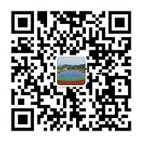 PG电子模拟器